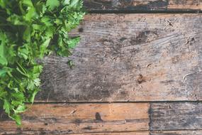 wood board with green basil