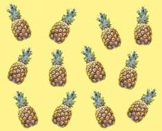 drawn pineapples on a yellow background