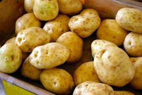 Farm Market Potatoes