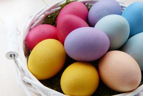 Eggs Colorful
