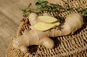 Ginger Ingber