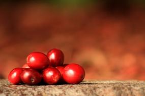 red Coffee Grains Mature Agriculture