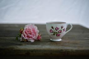 Coffee Cup and flower
