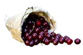 Cherries In Bag Isolated