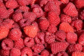 Ripe Raspberries Berries