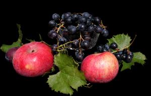 clipart of Apple and Grapes Fruits