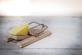 Wooden and metal mouse trap with the yellow cheese