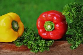 Beautiful and colorful, shiny paprika peppers and greenery on the wood