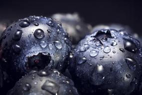 water Blueberries