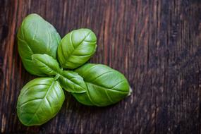 Beautiful, green basil leaves, on the wooden surface