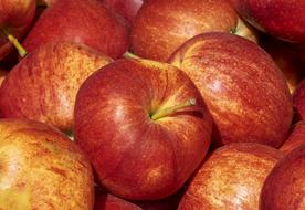 delicious Apple Red