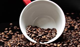 Coffee Beans in Cup
