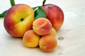 Apricots Sugar