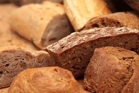 pieces of white and dark Bread