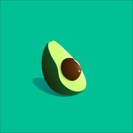 avocado art nature