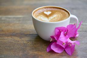 cappuccino on the table