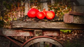 bright red pumpkins on a wooden cart
