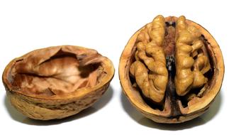 tasty Walnut Nut