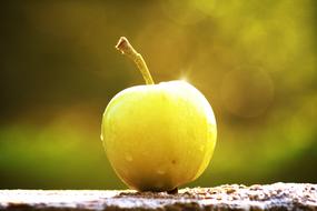 yellow apple on a blurred background