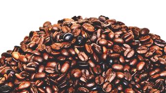 Coffee Beans in pile close up