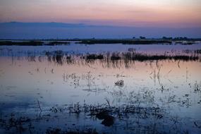 Beautiful and colorful sunset above river in Chobe, Botswana, Africa