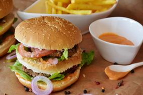 palatable Hamburger and fries