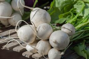 Turnips for soup