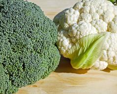 still life with broccoli and cauliflower
