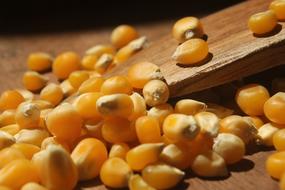 Yellow small Popcorns