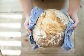 Bread Baking Fresh