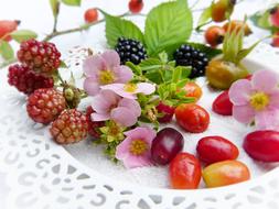 Fresh Berries and flowers on plate close up