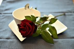 cup of coffee and red rose