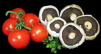 red tomatoes, champignons and parsley on a black background