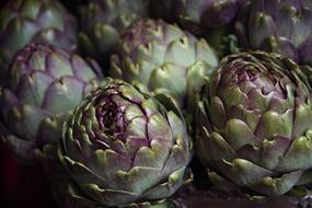 Beautiful, green and purple artichoke petals