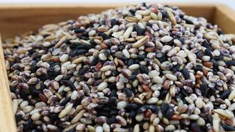 assorted rice close-up