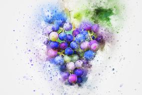 Beautiful watercolor drawing of the purple, blue and green grapes with green leaves, at white background