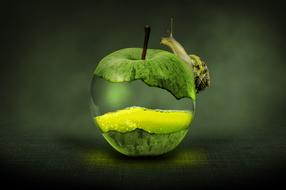 snail on transparent apple, green background, digital art