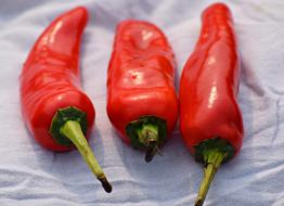 Organic Food Chili peppers