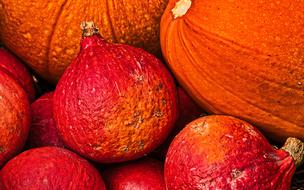 Beautiful, orange and red Hokkaido pumpkins in autumn