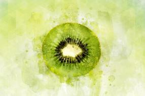 watercolor drawing of a green kiwi