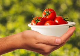 cherry tomatoes in a white bowl