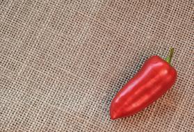 red pepper on a canvas tablecloth