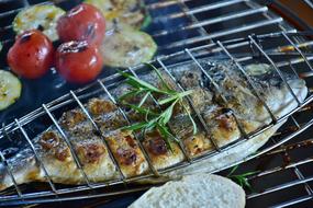 grilled Sea Bream in herb