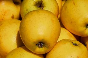 Apples, Golden Delicious variety