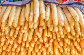 asparagus harvest for sale