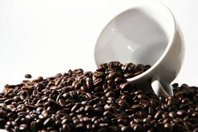 Coffee Beans and white Cup