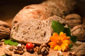 Bread Nut Nutrition flower