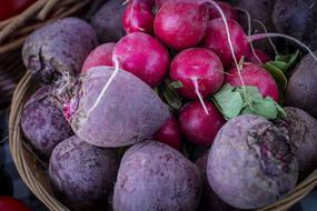 Beets Radishes Farmers