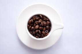 roasted coffee beans in a cup