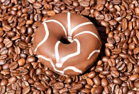 chocolate donut on coffee beans